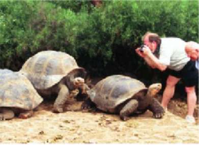 visiting galapagos