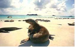 galapagos islands